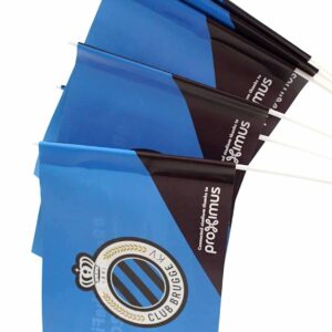 Paper flags